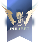 PULIBET